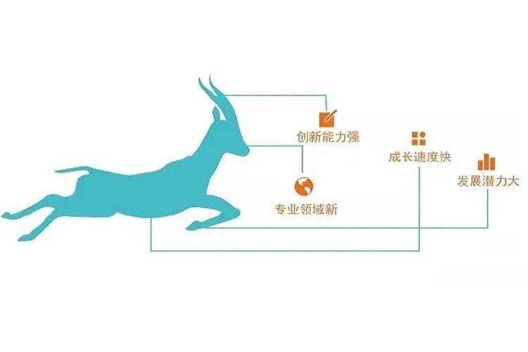 萊恩光電通過2022年度山東省瞪羚企業評審